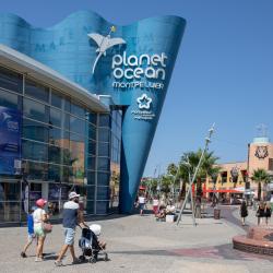 Aquarium et planétarium Planet Ocean Montpellier