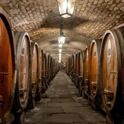 Historic Wine Cellar of Strasbourg Hospices
