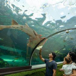 Sydney akvaarium