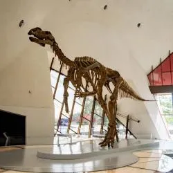 National Museum of Australia, キャンベラ