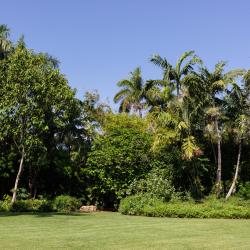 Miami Beach Botanical Gardens (Jardim Botânico)