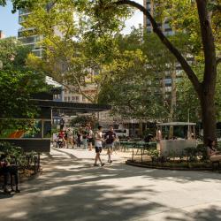 a Madison Square park