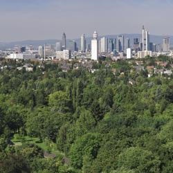 Frankfurti városi erdő (Stadtwald)
