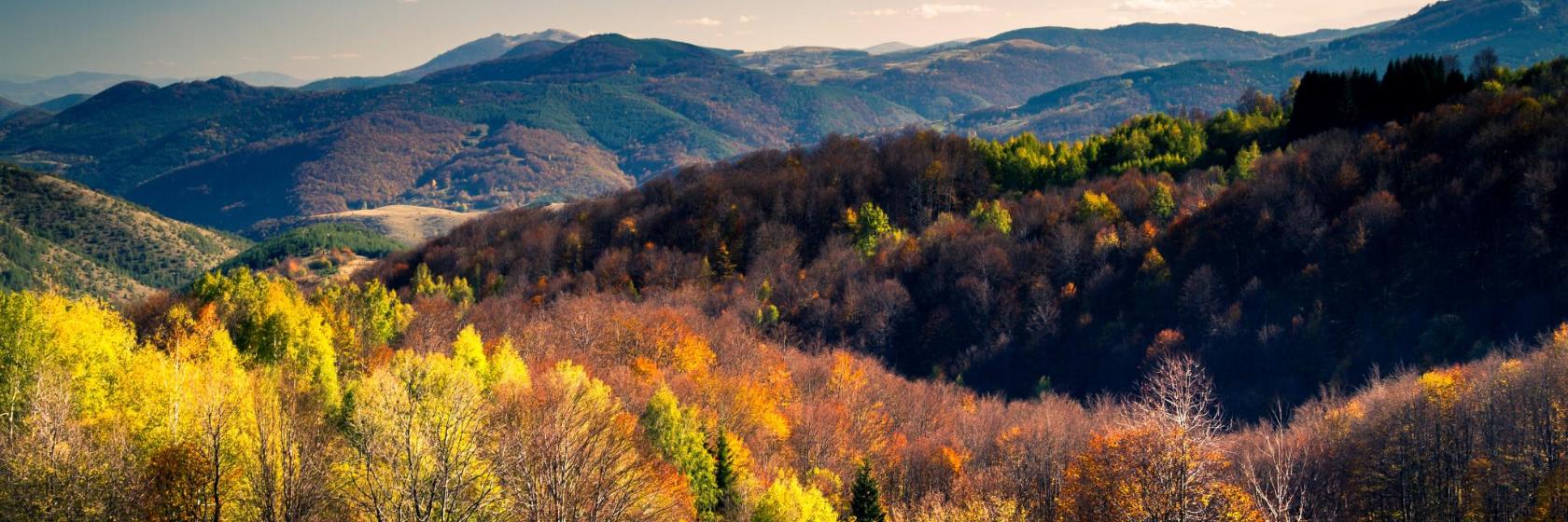 What are the best hotels in Vrnjačka Banja Spa, Serbia?