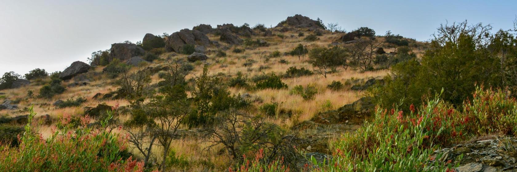 Al Baha Provinceの人気ホテル10選 Al Baha Province サウジアラビア と周辺のホテル