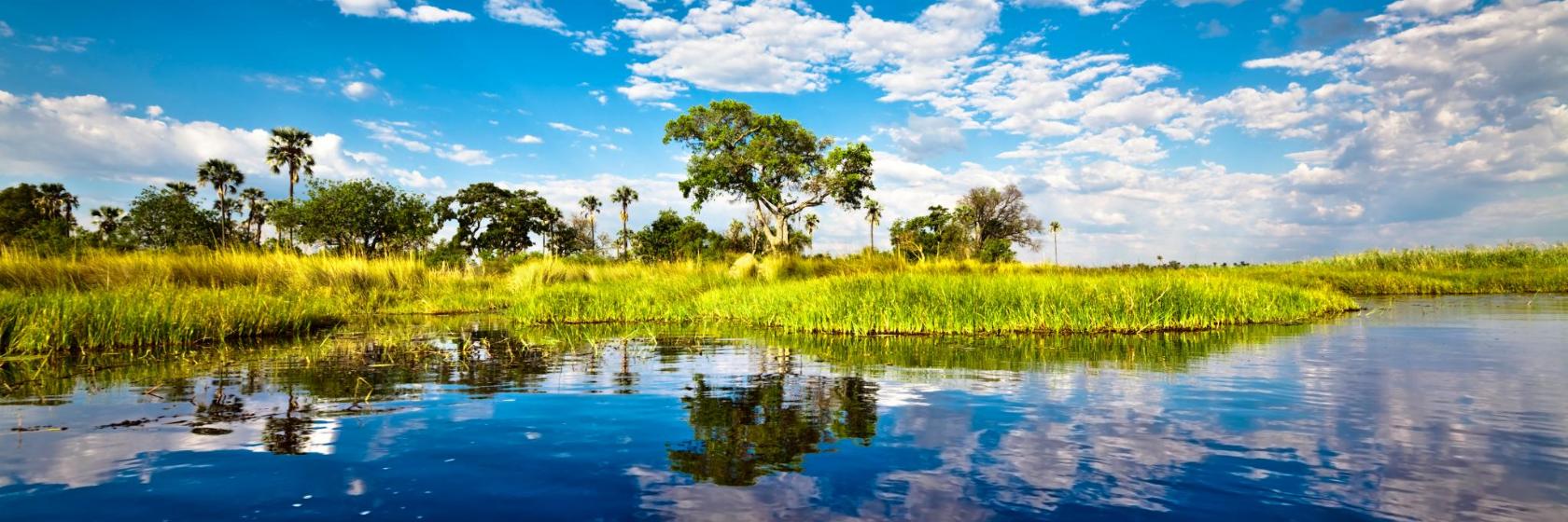 Ascot Okavango