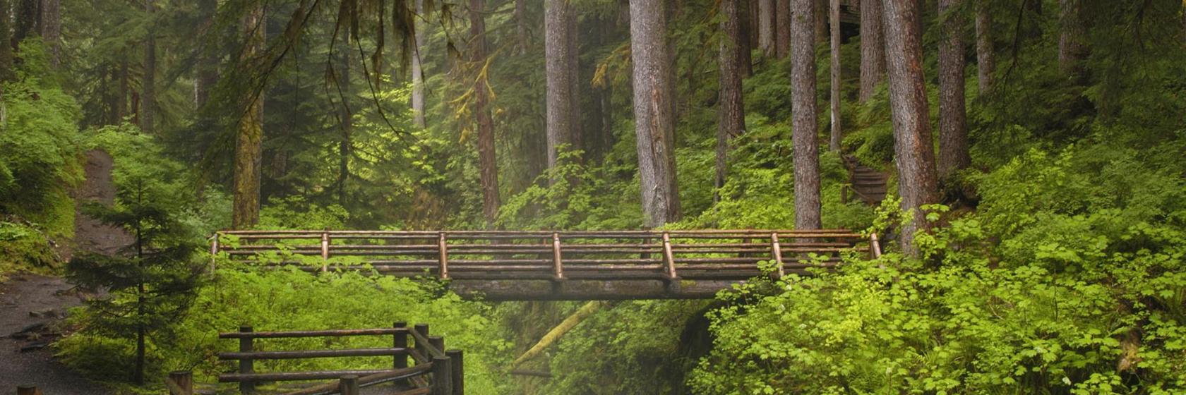 Olympic National Parkの人気ホテル10選 Olympic National Park アメリカ と周辺のホテル