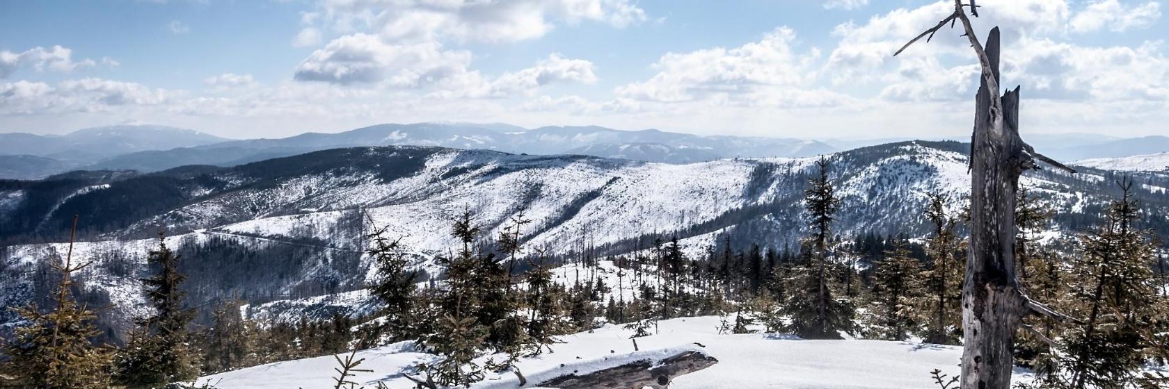 Top 10 best hotels in Żywiec Beskids, Poland in 2023