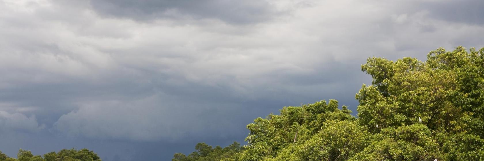 The Best Saint Elizabeth Hotels Where To Stay in and around Saint