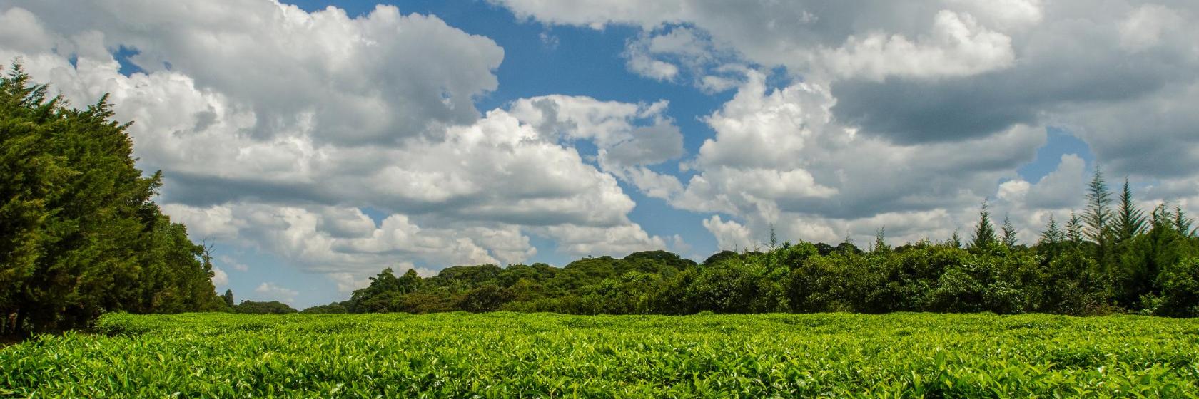 The Best Kisumu Hotels Where To Stay in and around Kisumu, Kenya