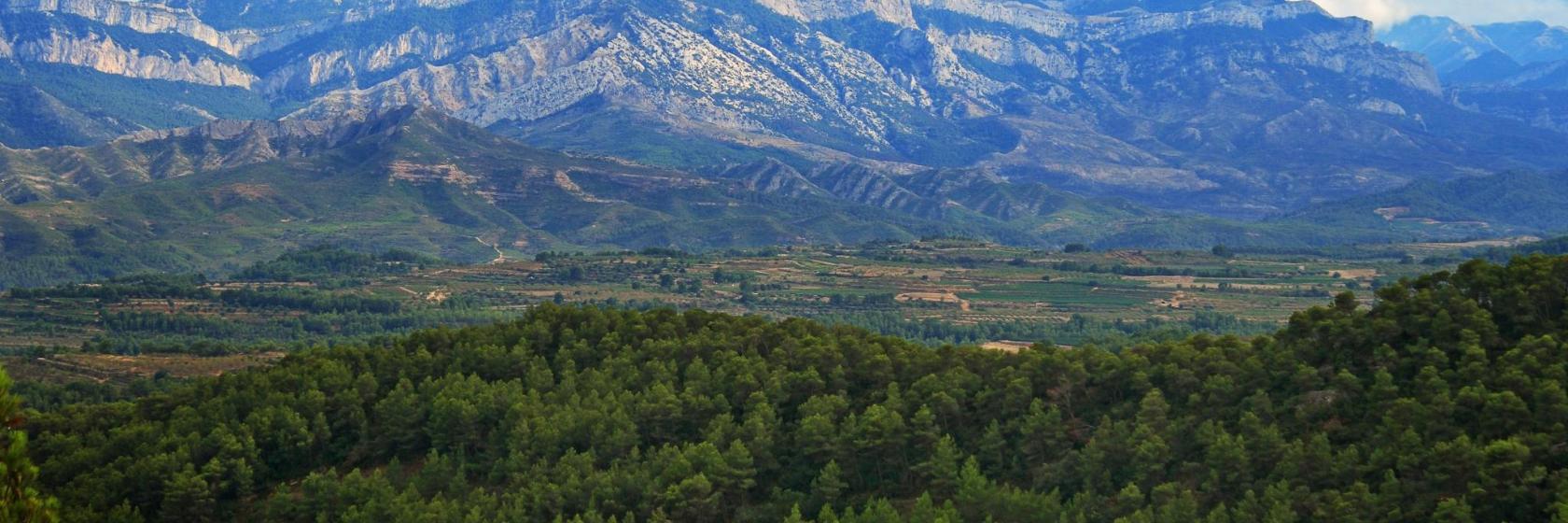 Terra Alta die besten Hotels Unterkünfte in und um die Region Terra