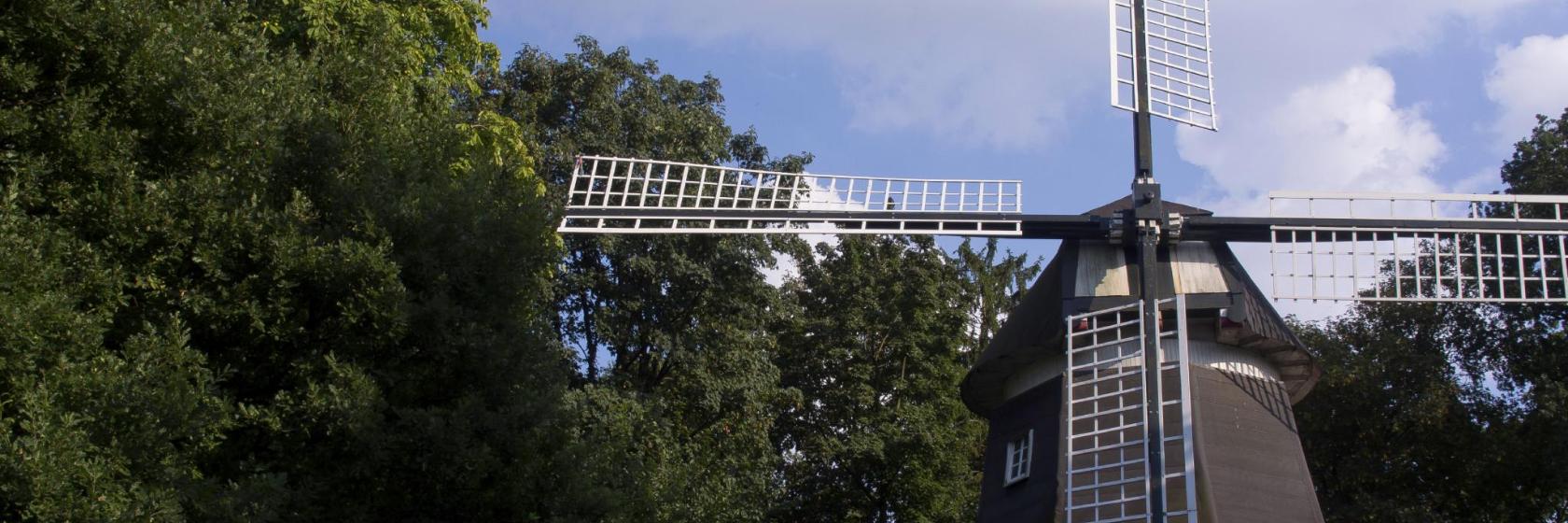 What are the best hotels in Emsland, Germany?
