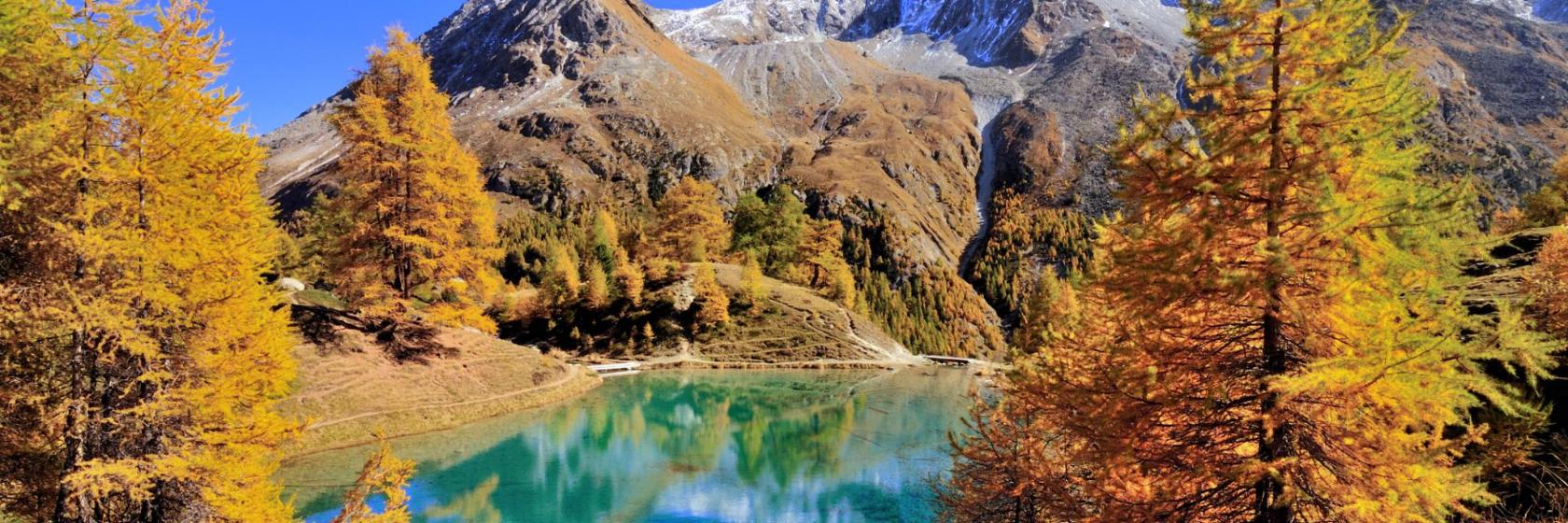 The Best Sion Ski Hotels Where To Stay in and around Sion Ski