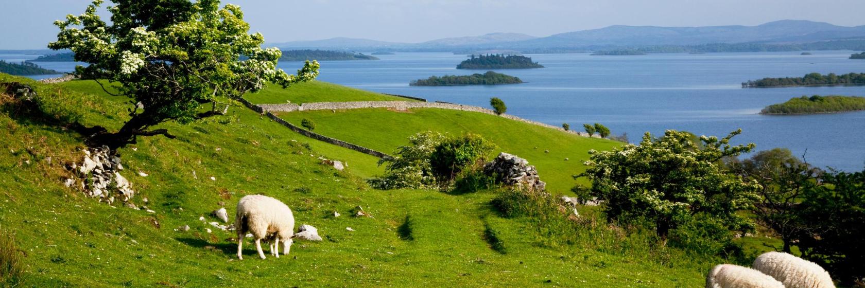 The Best Lough Corrib Hotels Where To Stay in and around Lough Corrib