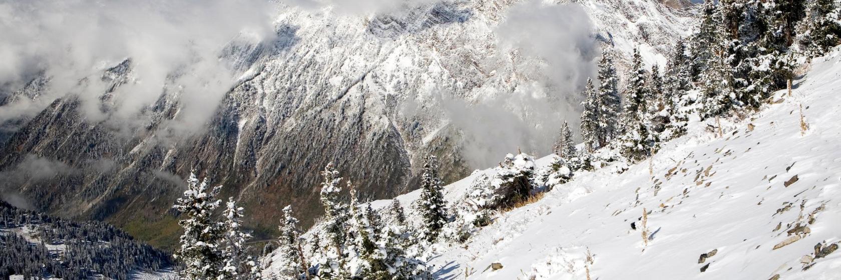 The Best AltaSnowbird Hotels Where To Stay in and around Alta