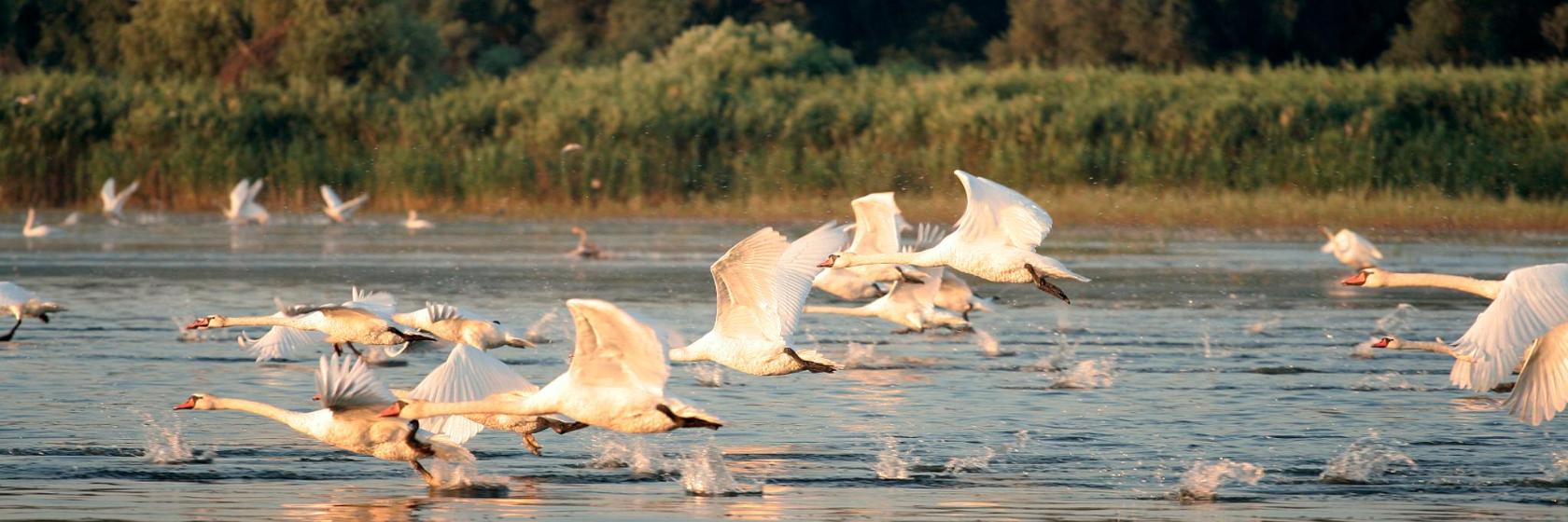 Danube Hotels with Guaranteed Best Rate