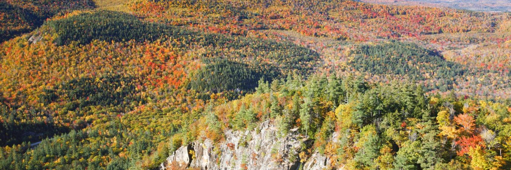 The Best Waterville Valley Resort Hotels Where To Stay in and around