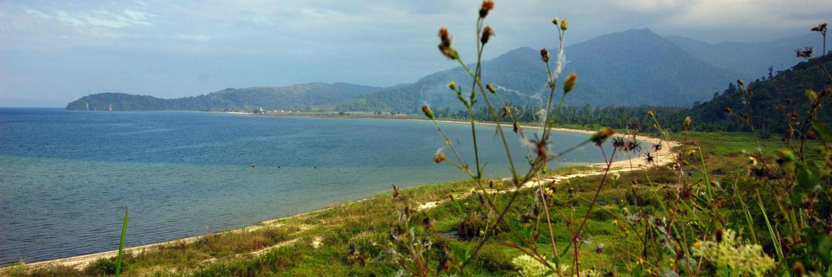 What are the best hotels in Central Sulawesi, Indonesia?