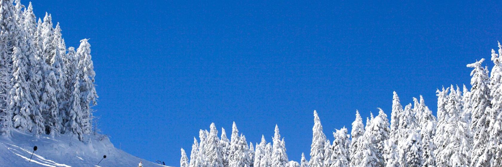 Top 10 best hotels in Ski Mont Saint-Sauveur, Canada in 2023