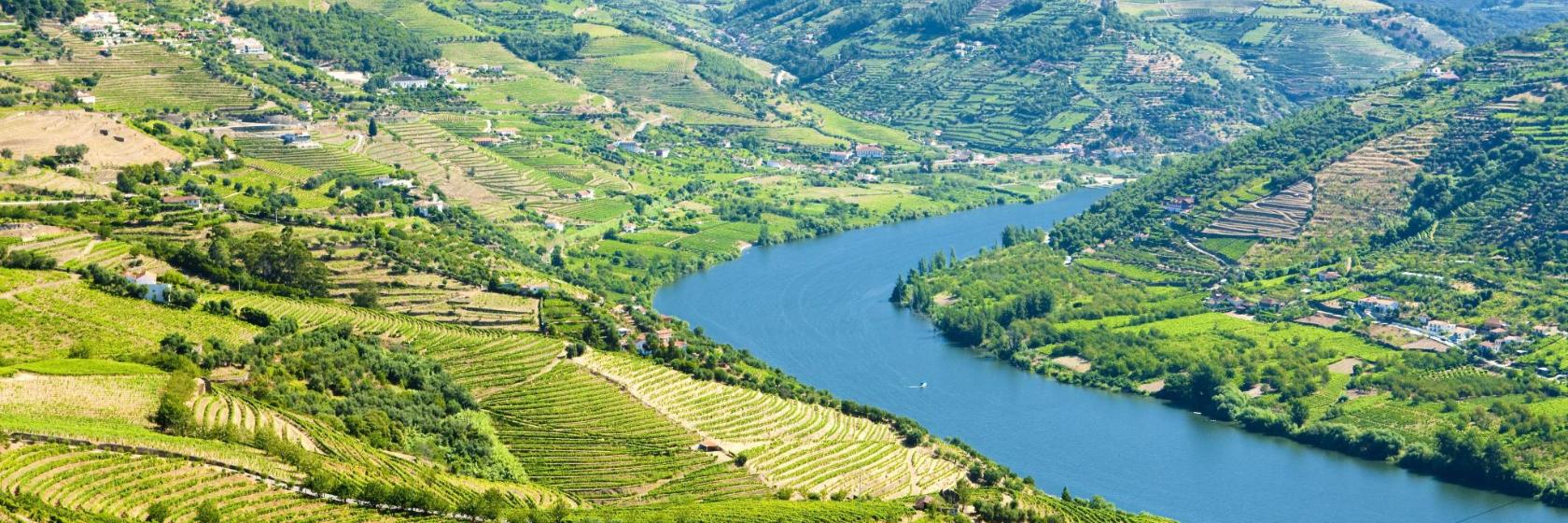 Download Regiao Norte Portugal Regionen Karte Gif
