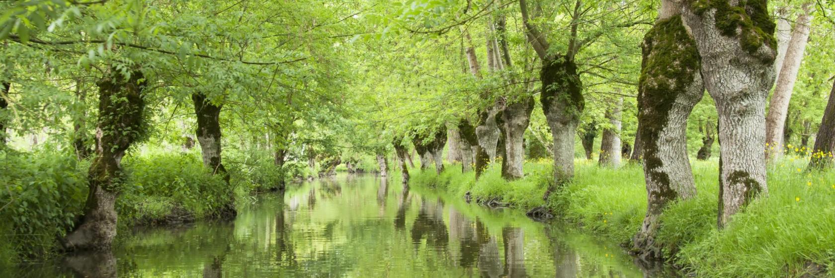 The Best DeuxSèvres Hotels Where To Stay in and around DeuxSèvres