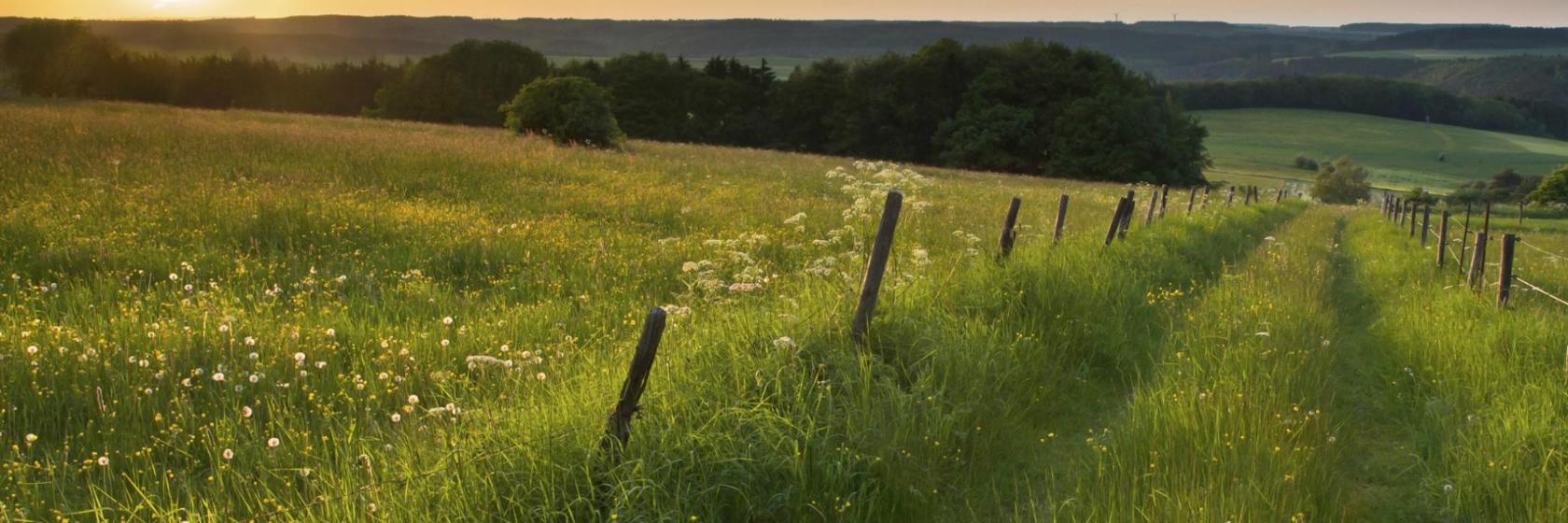 Eifel Hotels with Guaranteed Best Rate