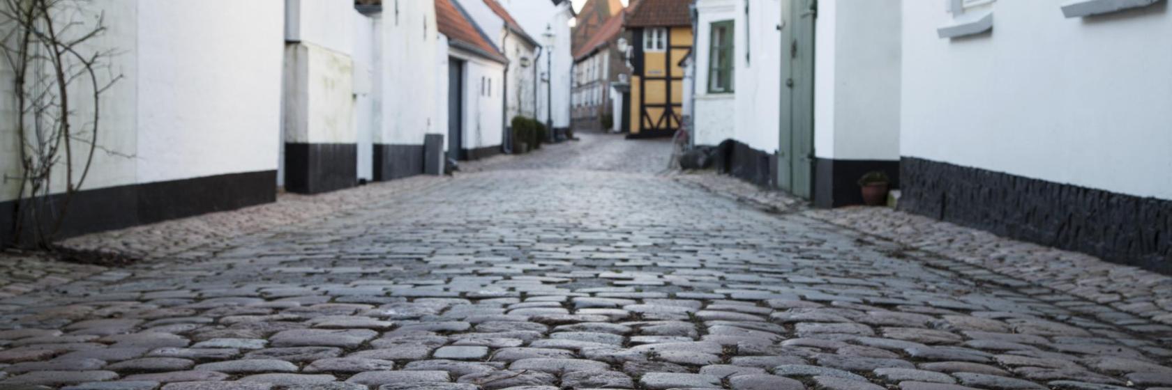 What are the best hotels in Syddanmark, Denmark?