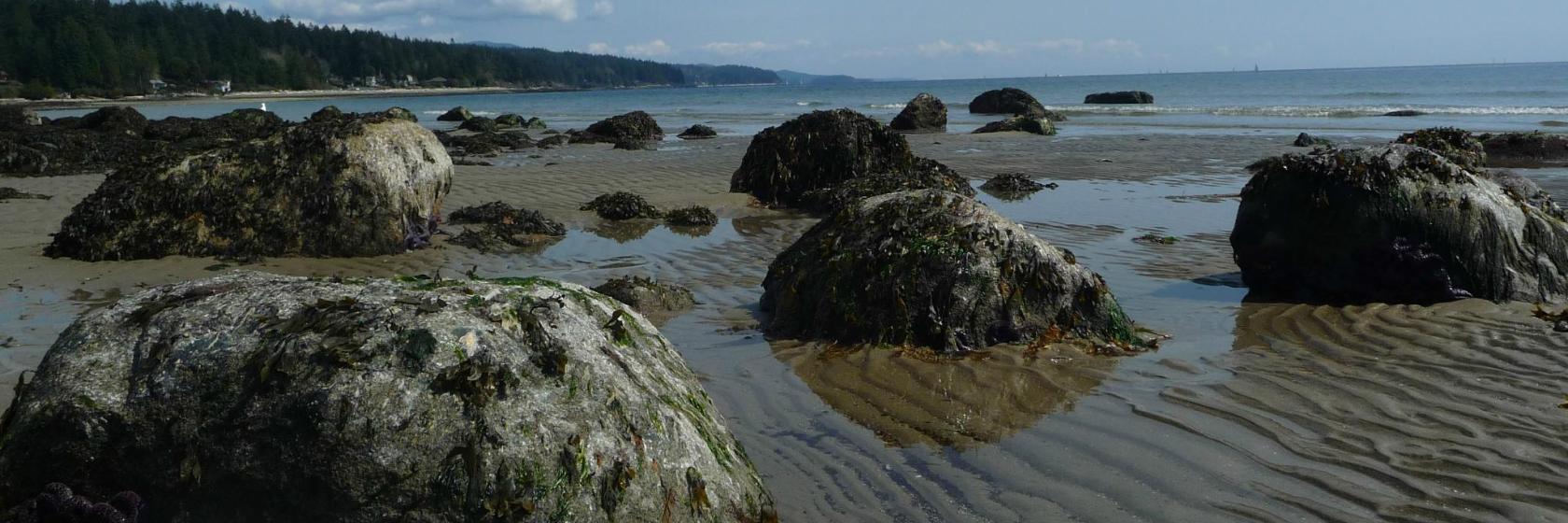 Sunshine Coastの人気ホテル10選 Sunshine Coast カナダ と周辺のホテル