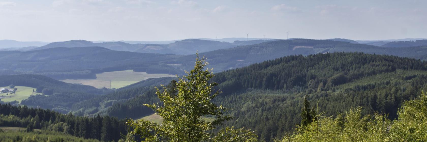 Rothaar Mountains Hotels with Guaranteed Best Rate