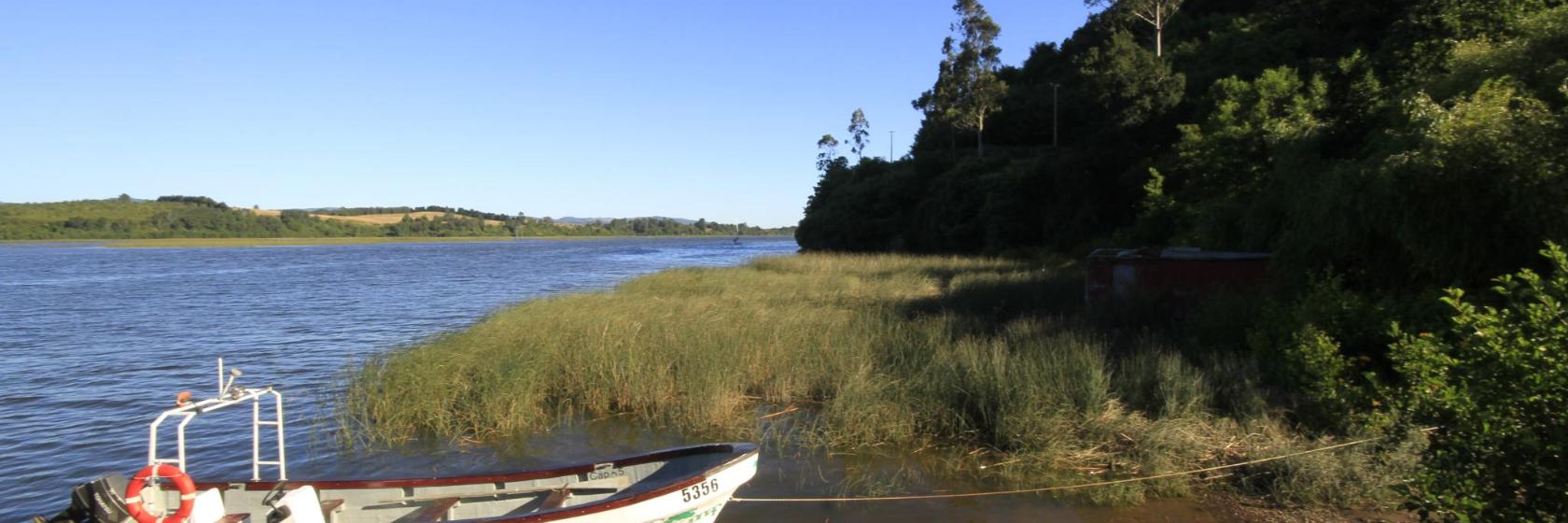 The Best Los Rios Hotels – Where To Stay in and around Los Rios, Chile