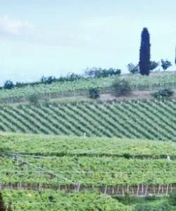 A beautiful view of Veneto