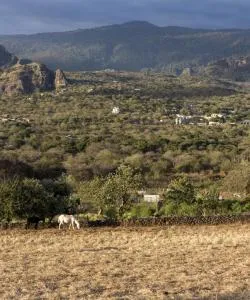 Vue imprenable sur : Morelos