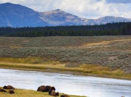Yellowstone National Park-West Gate