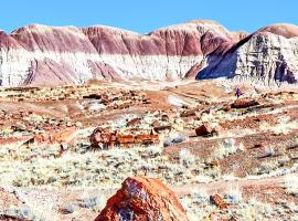 Petrified Forest National Park