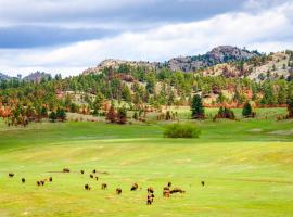 Black Hills National Forest