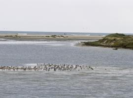 Pamlico Sound