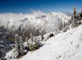 Alta-Snowbird