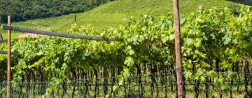 Pensionat i Alto Adige Wine Route