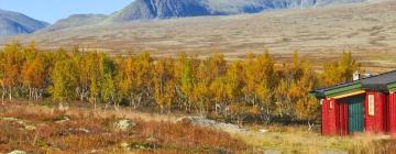 Hotels in Rondane