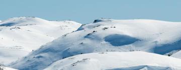 Chalets de montaña en Telemark