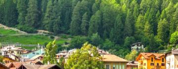 Apartments in Val di Sole