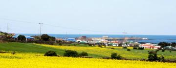 Hoteles en Isla de Jeju
