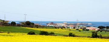 Hotels in Jeju Island