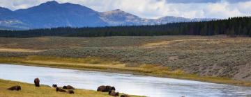 Hoteller i Yellowstone nationalpark - vestlig indgang