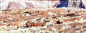 Luxury Tents in Petrified Forest National Park