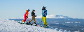 Husdjursvänliga hotell i Vemdalen