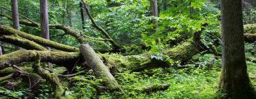 Los Alcornocales Natural Park: case di campagna