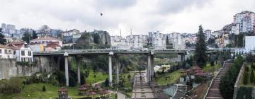 Provincia di Trabzon: hotel