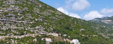 Apartments in Pelješac