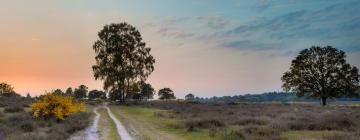 Hoteles en Utrecht Hill Ridge